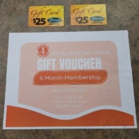 Inman Wellness Center and Browns Shoe Fit - 1 ticket for $20