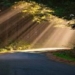The Chaplain’s Road